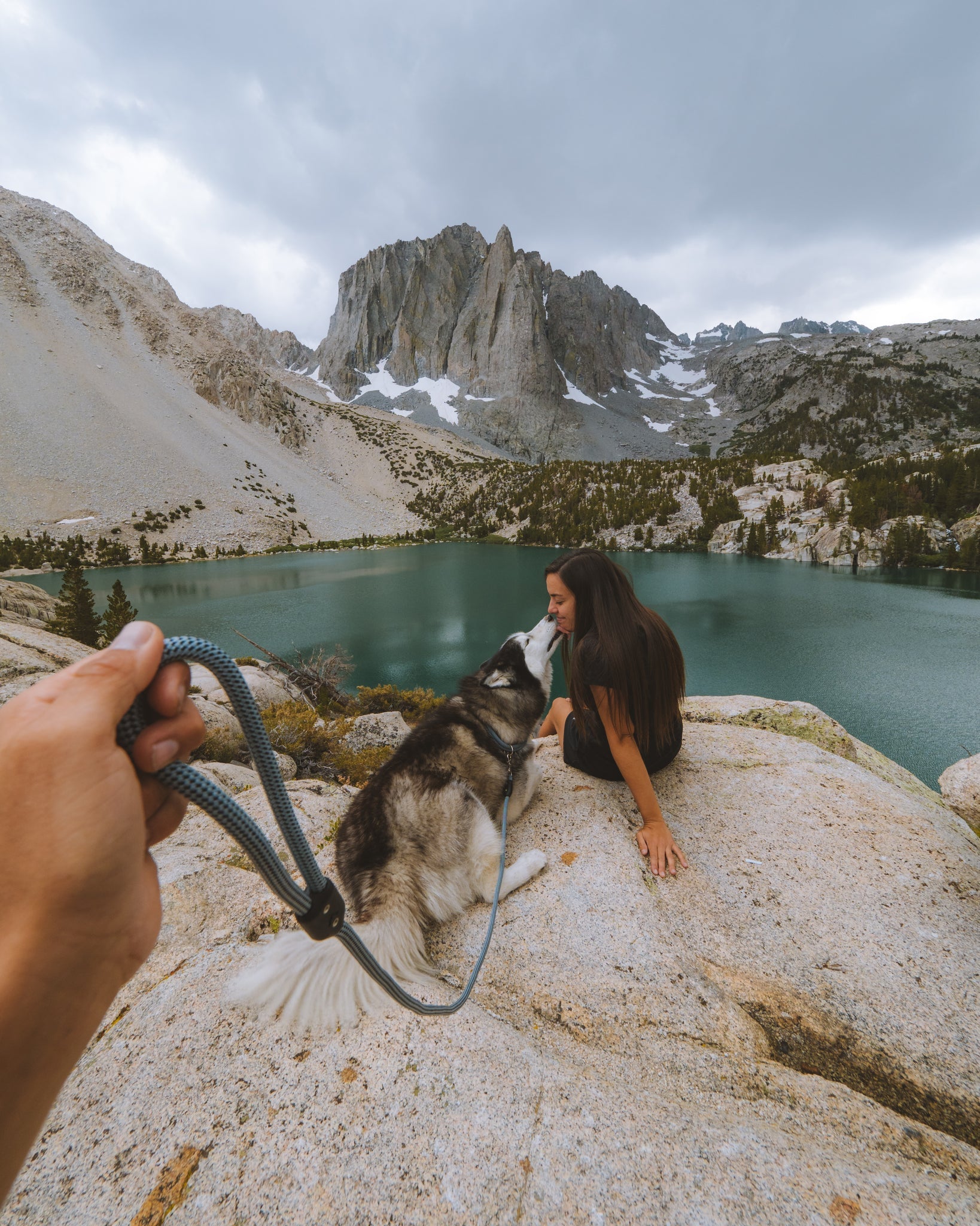 The story of camping with dogs