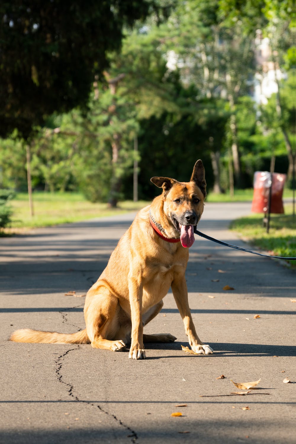 Fall Special 30% off