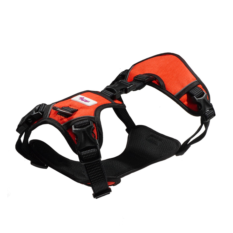 PawHuggies Luminous Oxford Explorer Dog Harness - Paw Huggies