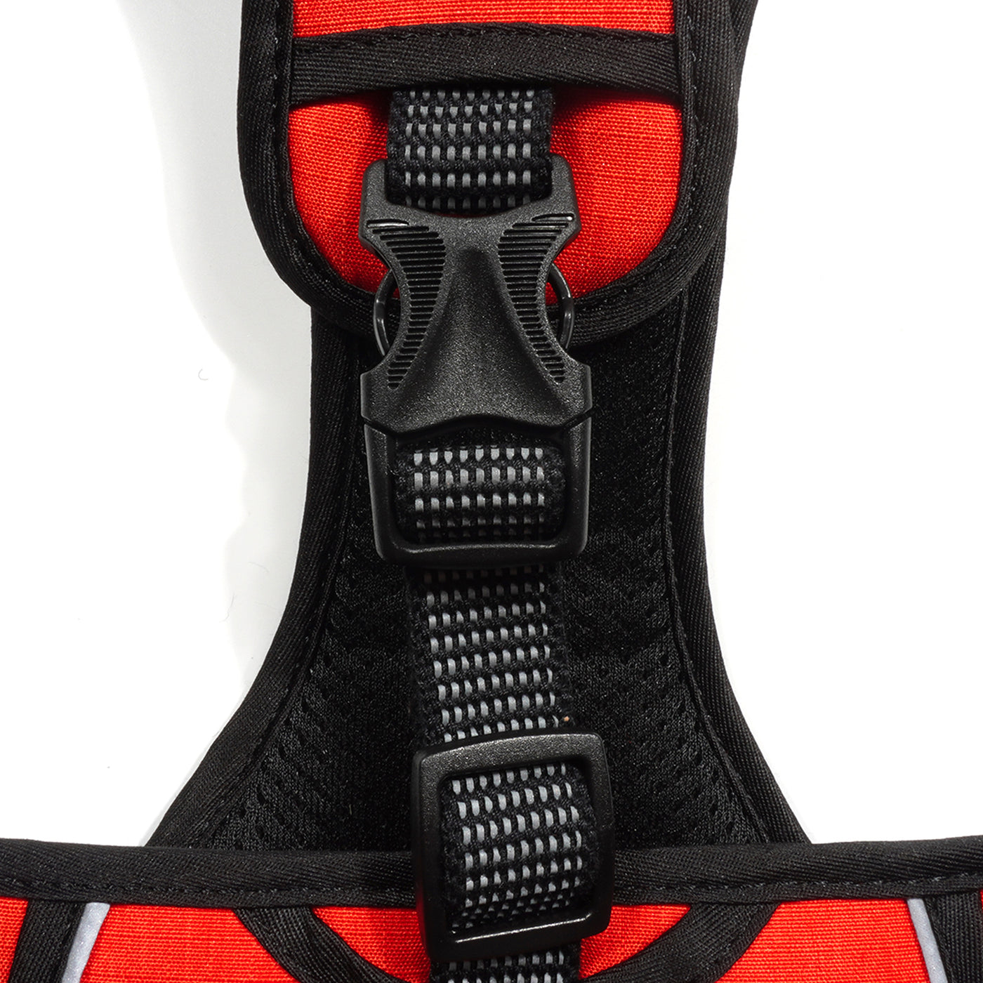 PawHuggies Luminous Oxford Explorer Dog Harness - Paw Huggies