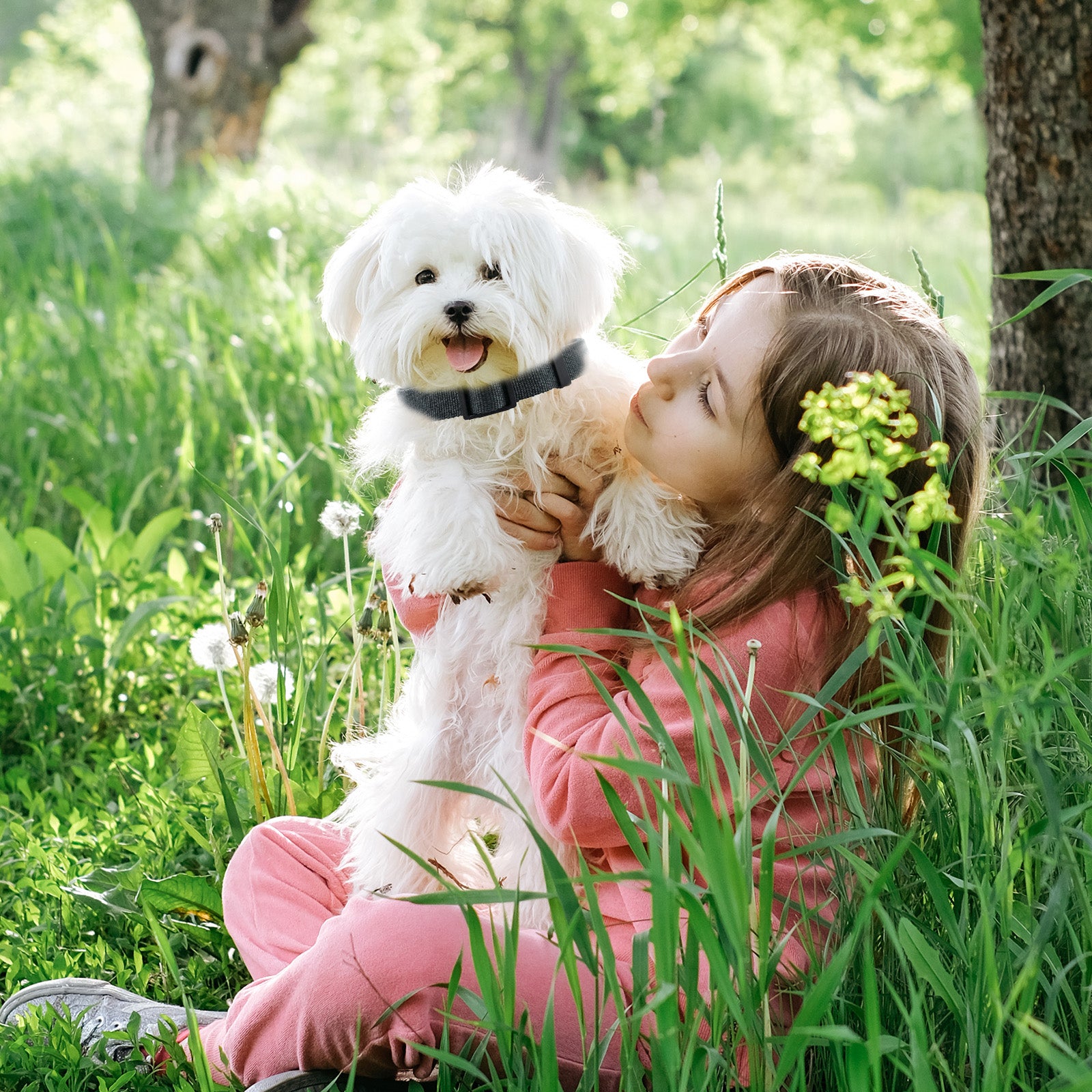 Dark Grey Dog Leash for Large Dogs 4 FT of 90% Rayon from Bamboo and 10% Polyester, Strong Durable Heavy Duty Leash for All Size Dog, Soft Handle with O-Ring for Training or Walking - Paw Huggies