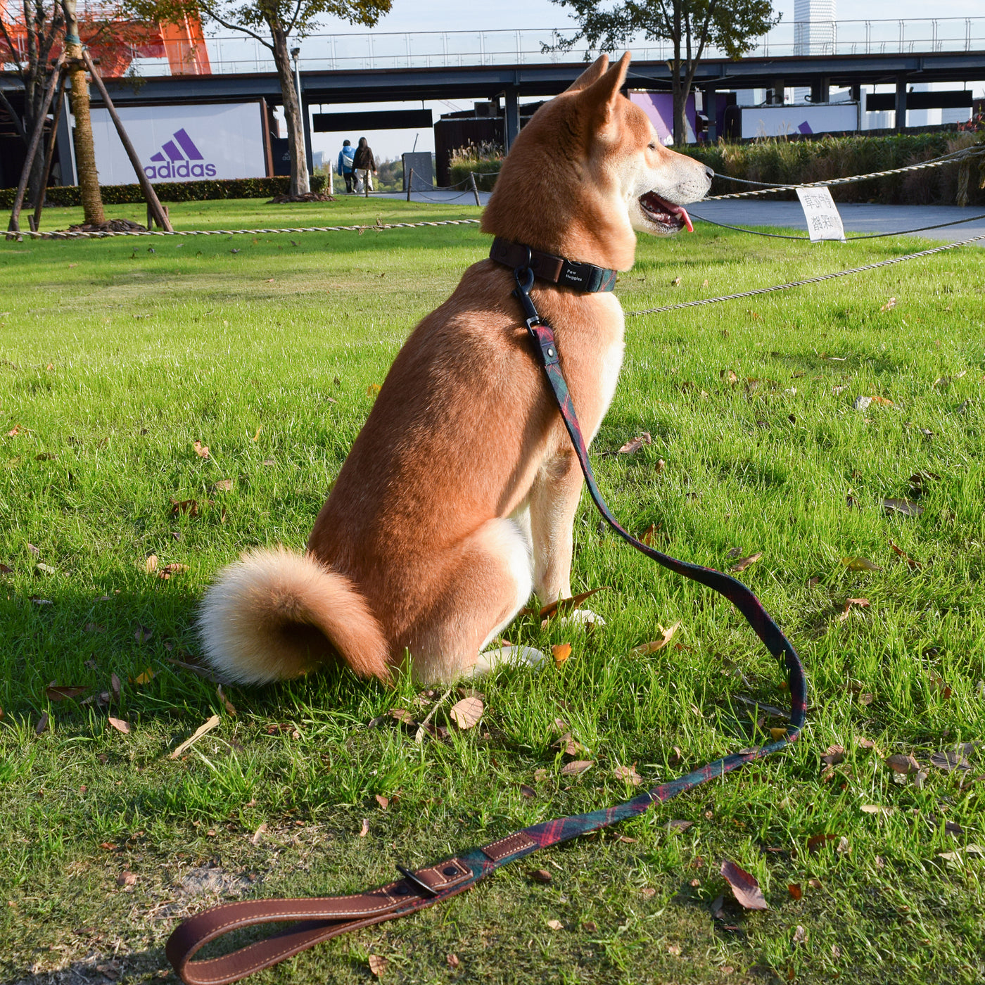 PawHuggies Premium Plaid Flannel Dog Harness Leash Set - Paw Huggies