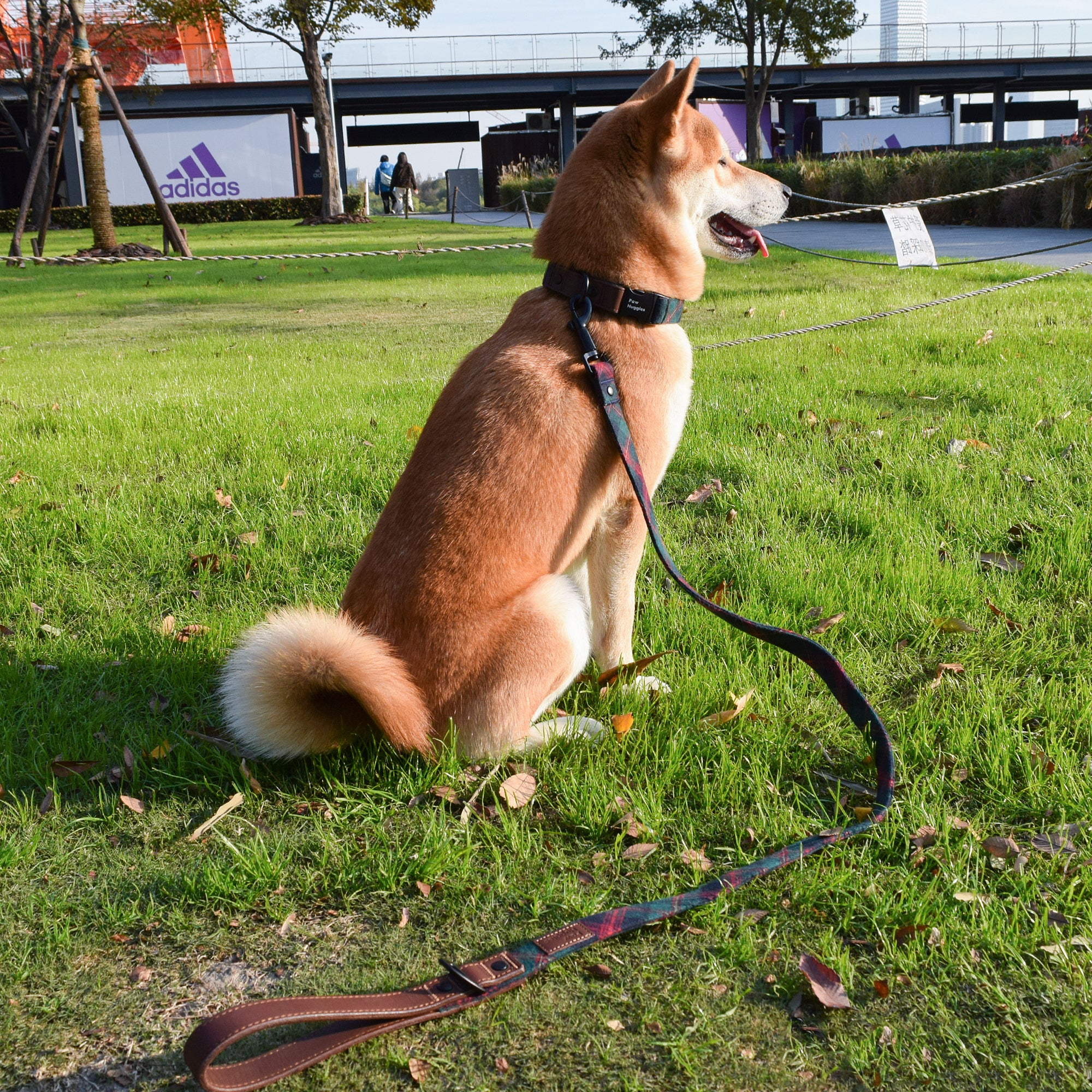 PawHuggies Premium Plaid Flannel Dog Harness Leash Set - Paw Huggies